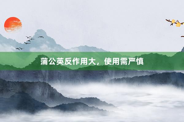 蒲公英反作用大，使用需严慎